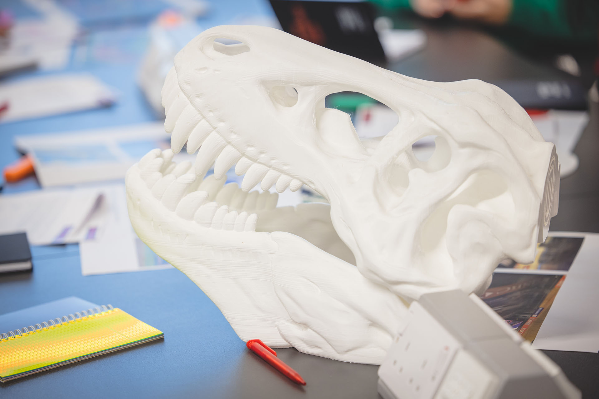 3D printed dinosaur skull.